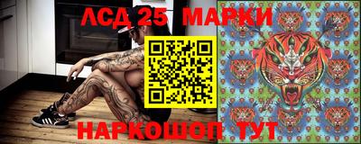 гидра Брянск