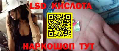 гидра Брянск