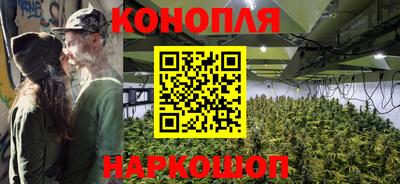 молекула духа Боровичи