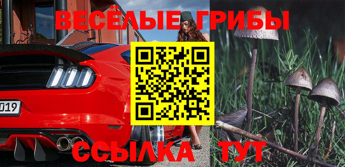 Галлюциногенные грибы Psilocybine cubensis Петрозаводск