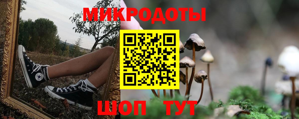 Псилоцибиновые грибы Psilocybe  Вход с VPN  Петрозаводск 